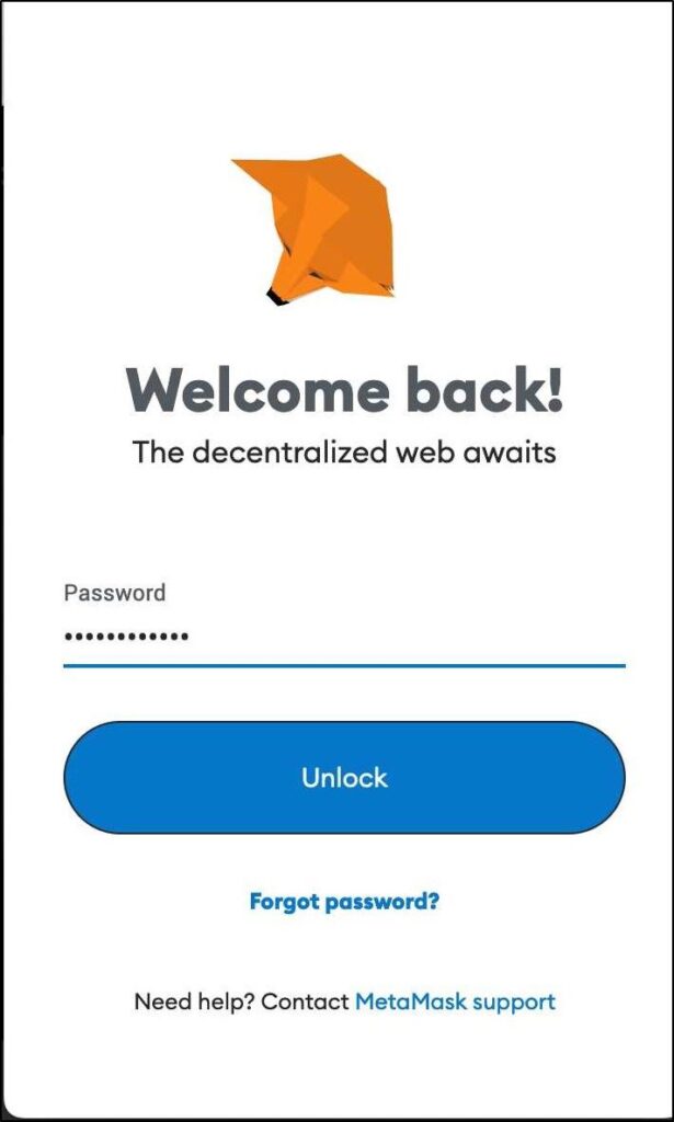 MetaMask Password